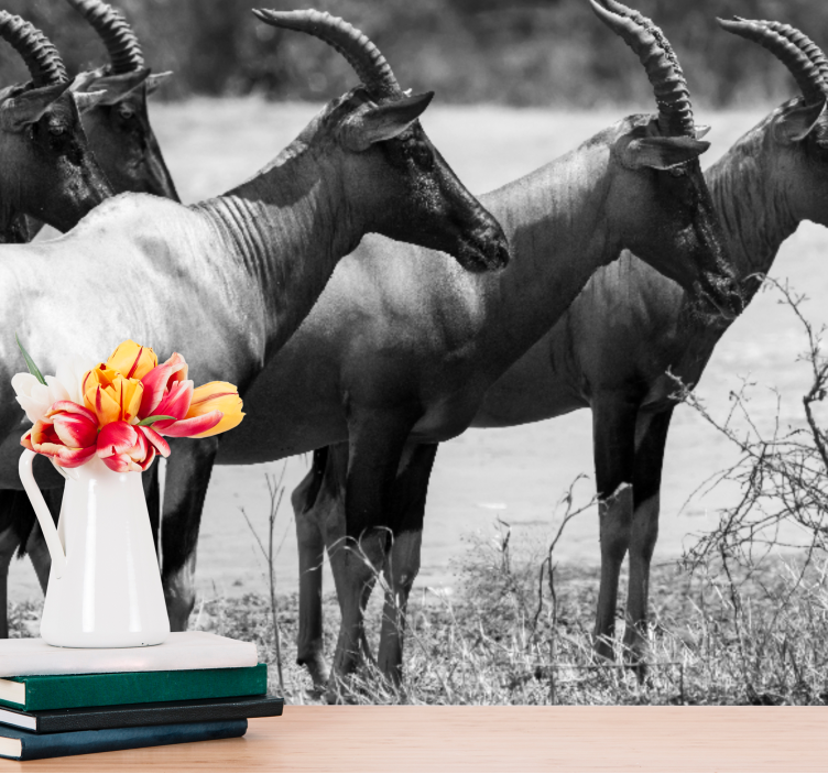 Fototapet dyr afrikansk antilopeflokk - Tenstickers