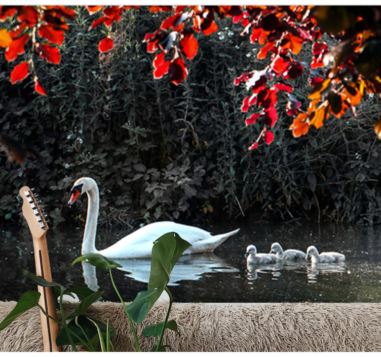 Fototapet dyr elegant svane familie - Tenstickers