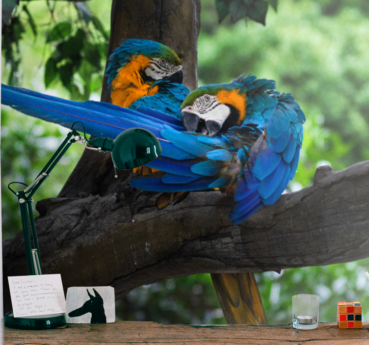 Fototapet dyr fargerik makaparpå - Tenstickers