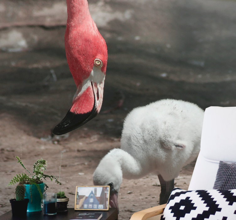 Fototapet dyr flamingo kylling - Tenstickers