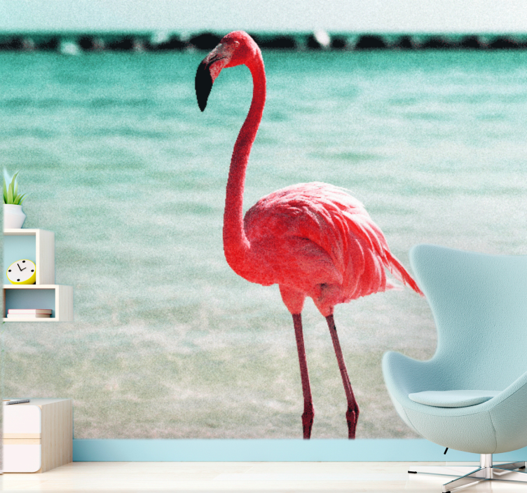 Fototapet dyr graceful flamingo posisjon - Tenstickers