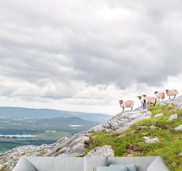 Fototapet dyr lammer på skråningen - Tenstickers