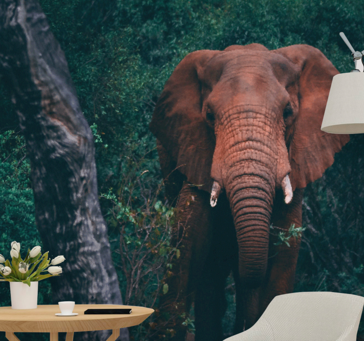 Fototapet dyr majestetisk elefant nærvær - Tenstickers