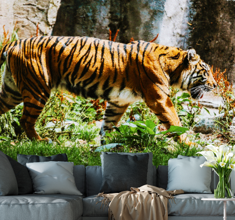 Fototapet dyr majestetisk tigergang - Tenstickers