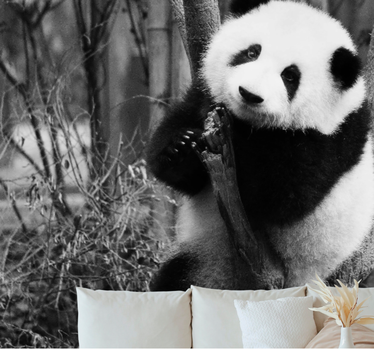 Fototapet dyr panda i tre - Tenstickers