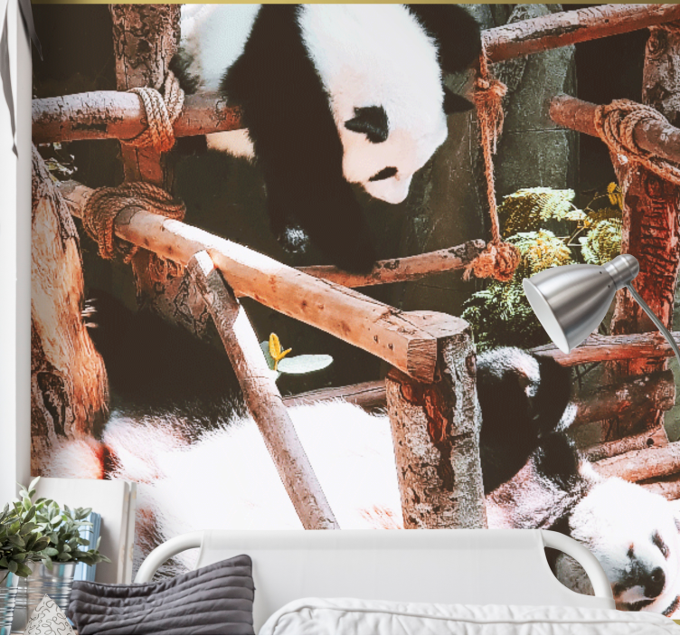 Fototapet dyr panda leketid scene - Tenstickers