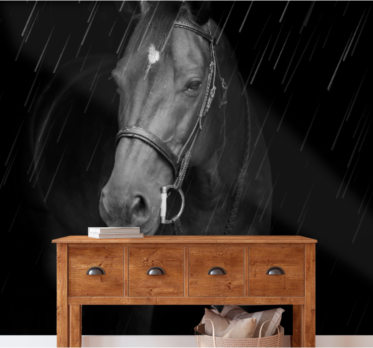 Fototapet dyr regal hesteportrett - Tenstickers