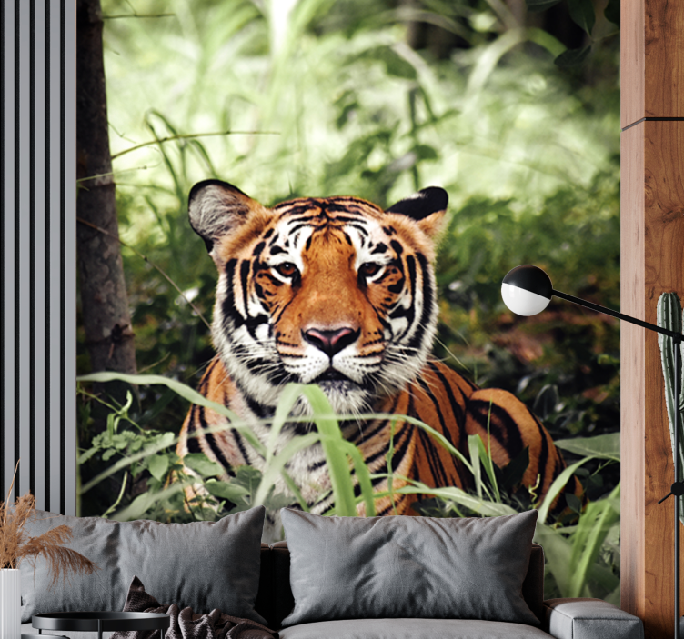 Fototapet dyr regal tiger opplevelse - Tenstickers