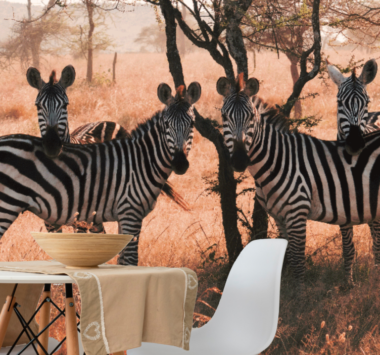 Fototapet dyr zebras i naturen - Tenstickers