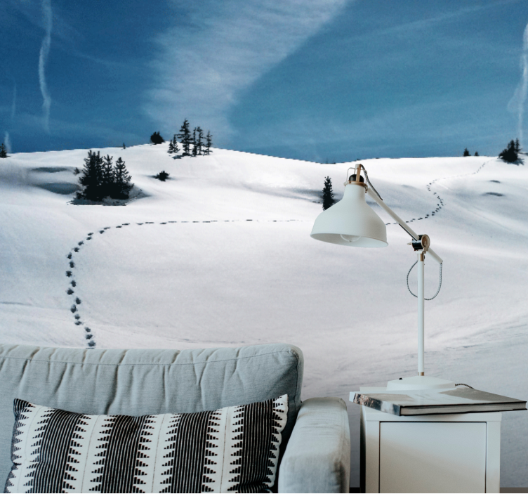 Fototapet fjell snøfyllt fjellsti - Tenstickers