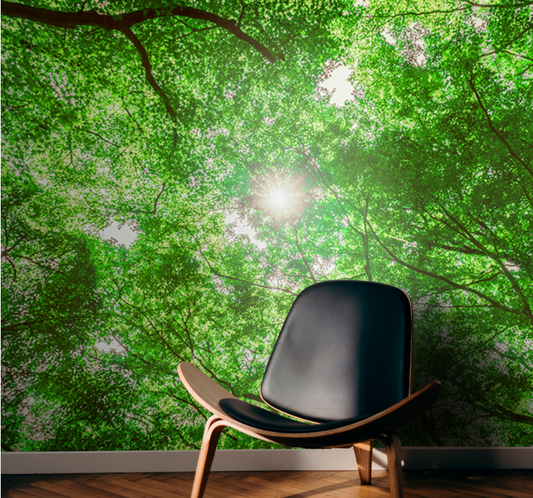 Fototapet natur canopy tree view - Tenstickers