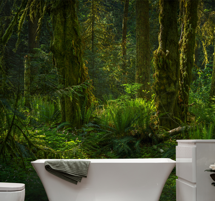 Fototapet natur fredelig skogtilflukt - Tenstickers