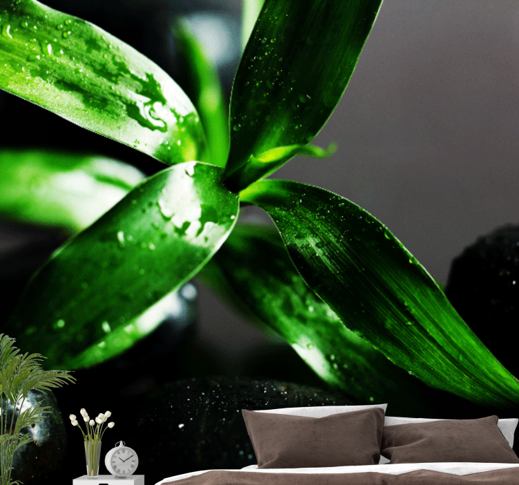 Fototapet natur frisk bladtekstur - Tenstickers