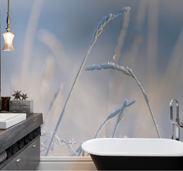 Fototapet natur frostede gressstrå - Tenstickers