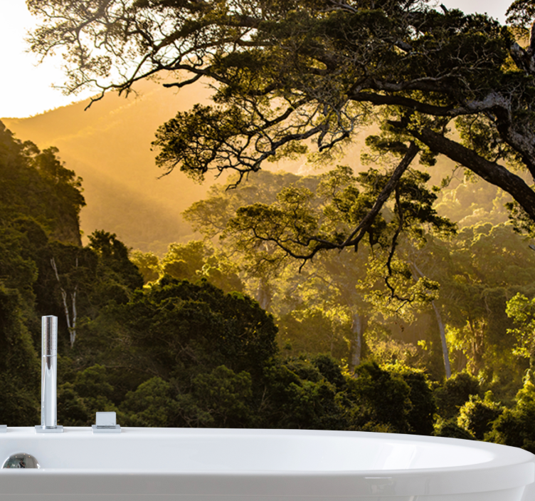 Fototapet natur grønn skoglandskap - Tenstickers