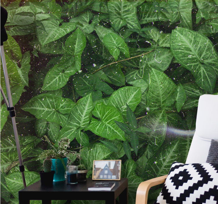 Fototapet natur livlig bladkomposisjon - Tenstickers