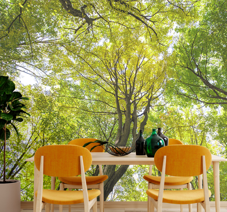 Fototapet natur lush forest canopy - Tenstickers