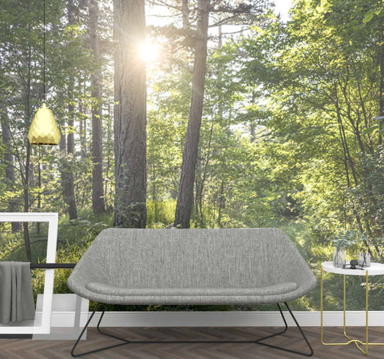 Fototapet natur lysende skogsti - Tenstickers