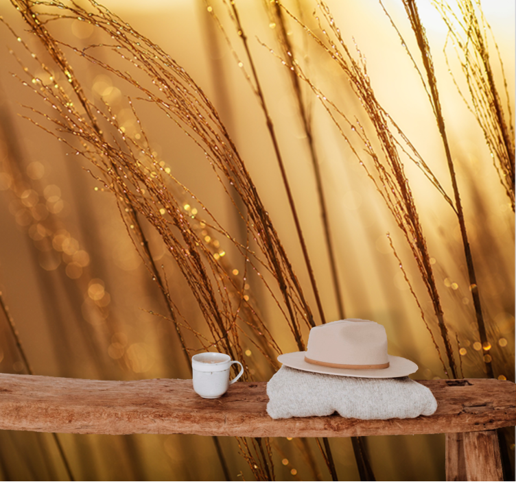 Fototapet natur mildt gyllent gress - Tenstickers