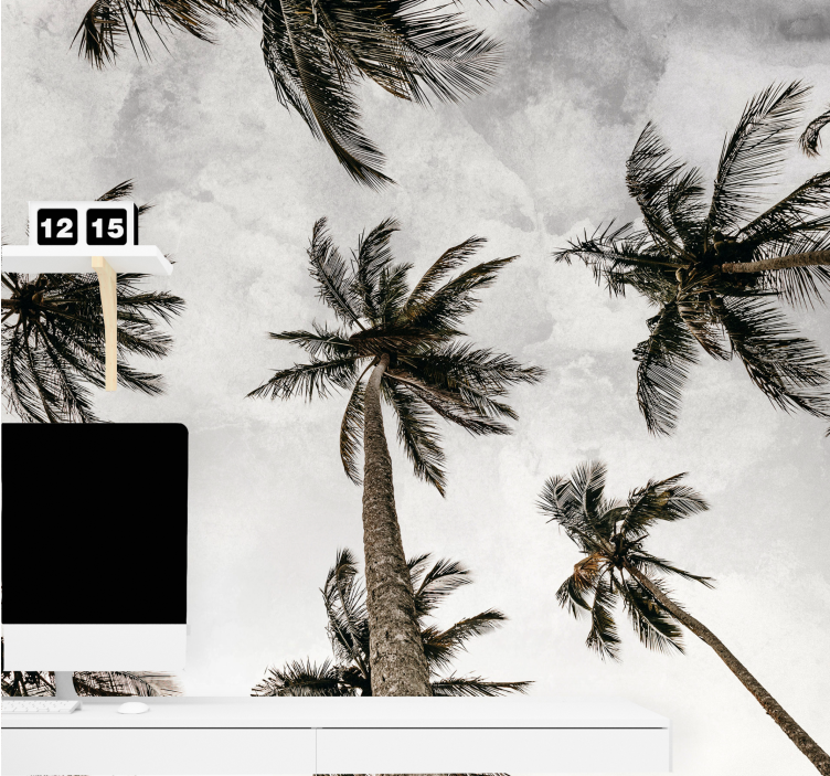 Fototapet natur palmestokkloft - Tenstickers