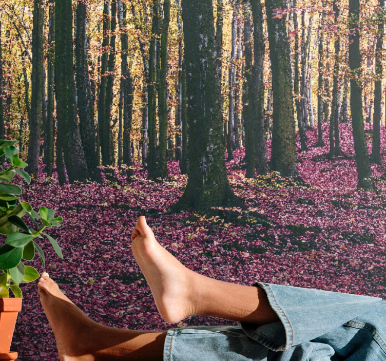 Fototapet natur ro i skogen - Tenstickers