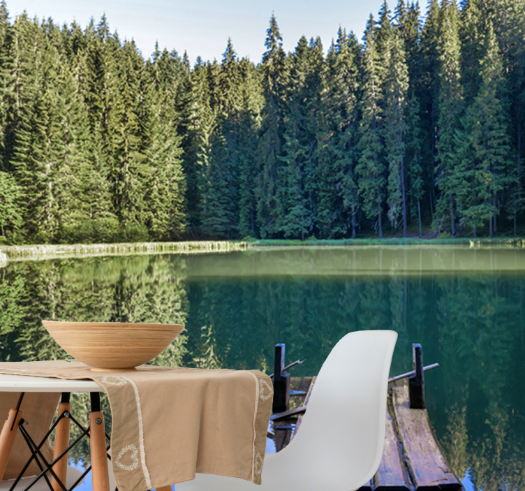 Fototapet natur rolig skogsspeil - Tenstickers