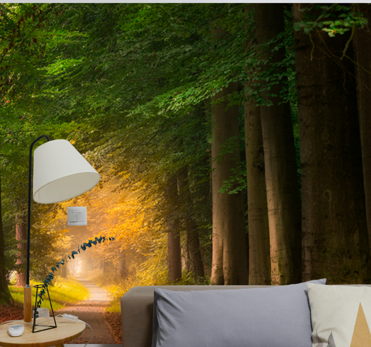 Fototapet natur skogsti scene - Tenstickers