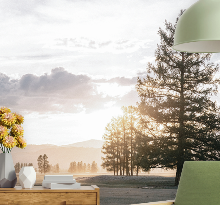 Fototapet natur stille furu silhuett - Tenstickers