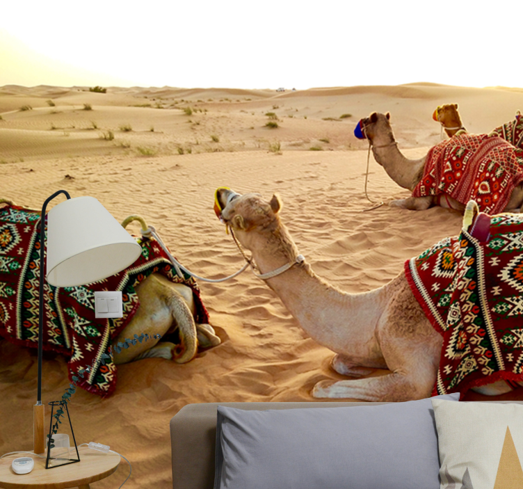 Fototapet ørken kameler i ørkenen - Tenstickers