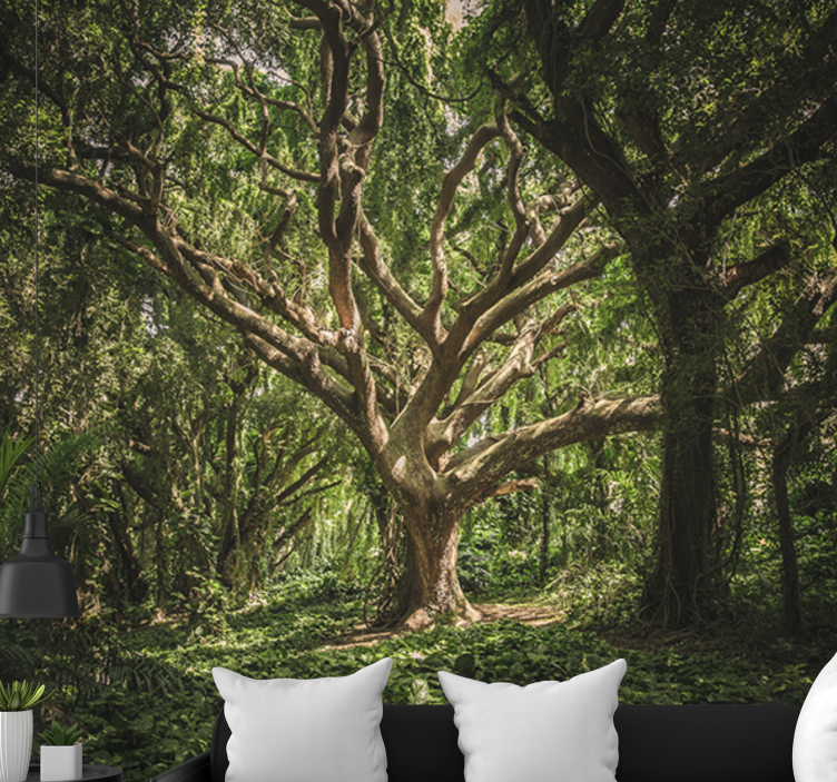 Fototapet skog majestetisk skogtak - Tenstickers