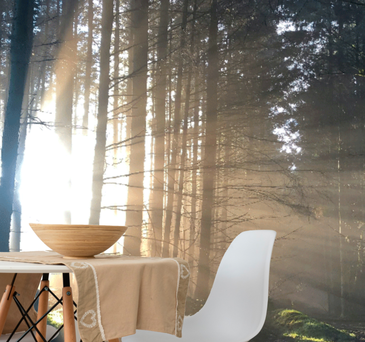 Fototapet skog opplyst skogsti - Tenstickers