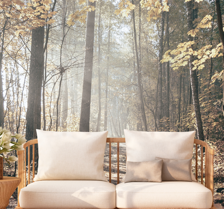 Fototapet skog roende høststi - Tenstickers