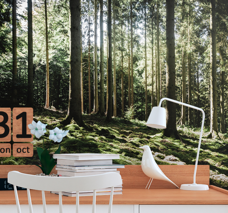 Fototapet skog rolig skogscene - Tenstickers