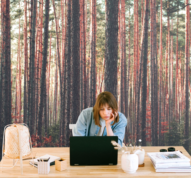 Fototapet skog rolige furutre - Tenstickers