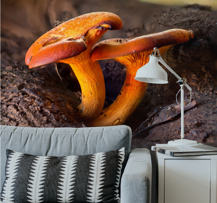 Fototapet skog soppnaturmotiv - Tenstickers