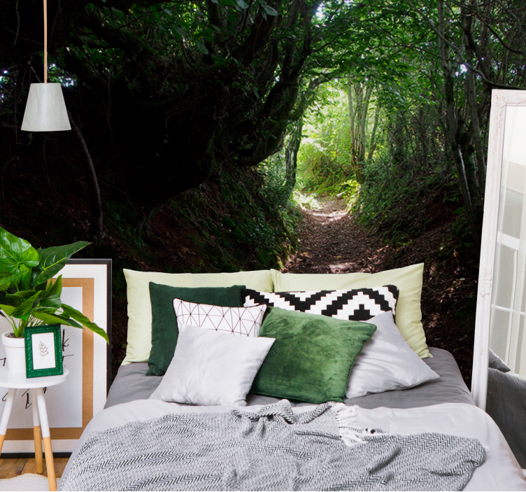 Fototapet skog sti i skogen - Tenstickers