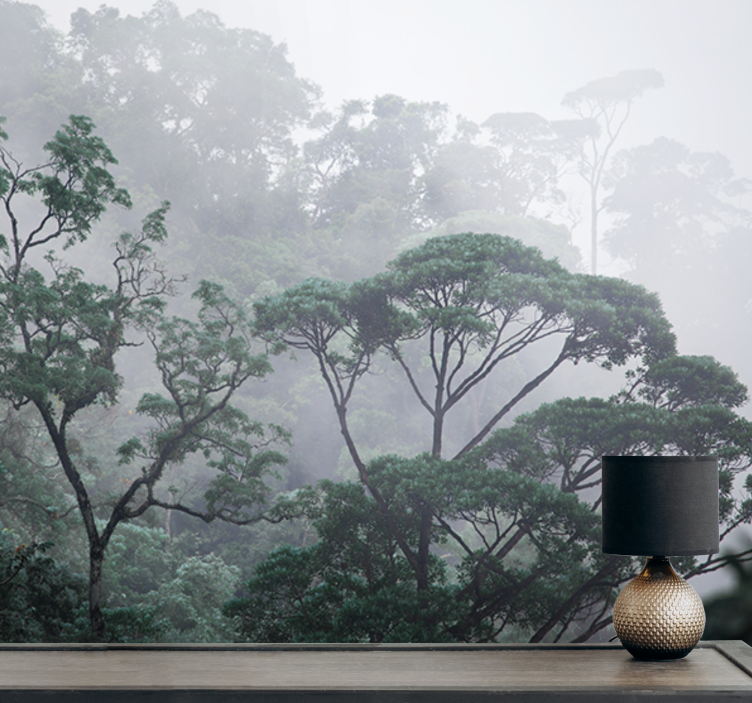 Fototapet skog tåkete skoglandskap - Tenstickers