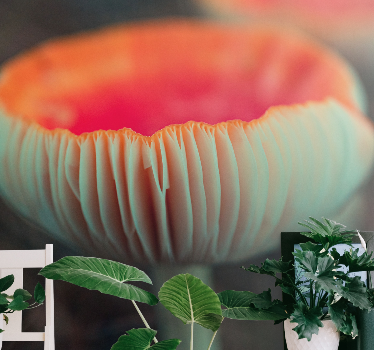 Fototapet valmue elegant valmueblomst - Tenstickers