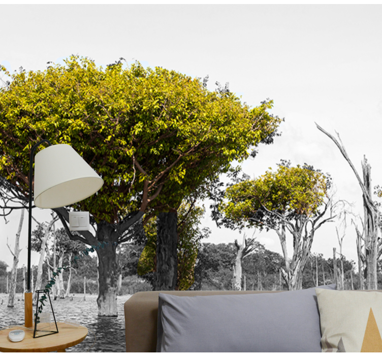 Store tørre trær fototapet afrika - Tenstickers