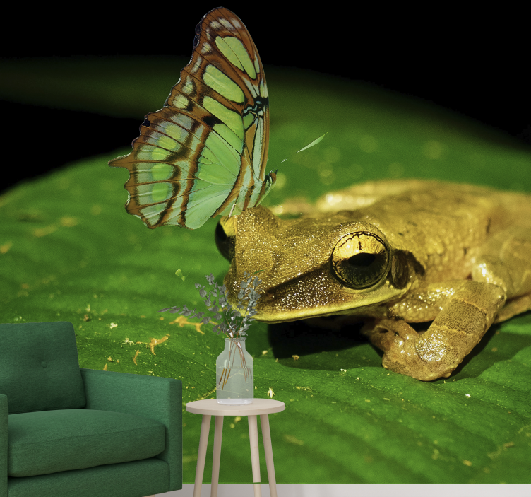 Frosk og sommerfugl fototapet dyr - Tenstickers