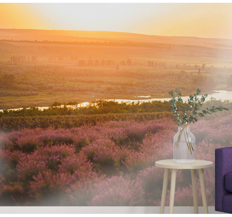 Lavendel solnedgang landskap fototapet blomster - Tenstickers
