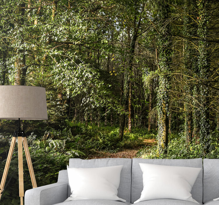 Løv sti i skogen fototapet natur - Tenstickers