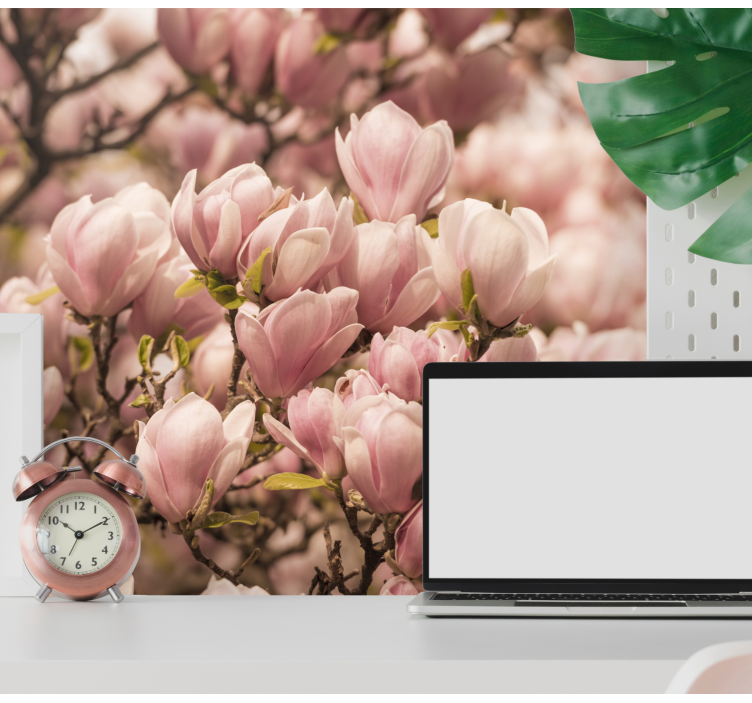 Magnolia blomster design fototapet magnolia - Tenstickers