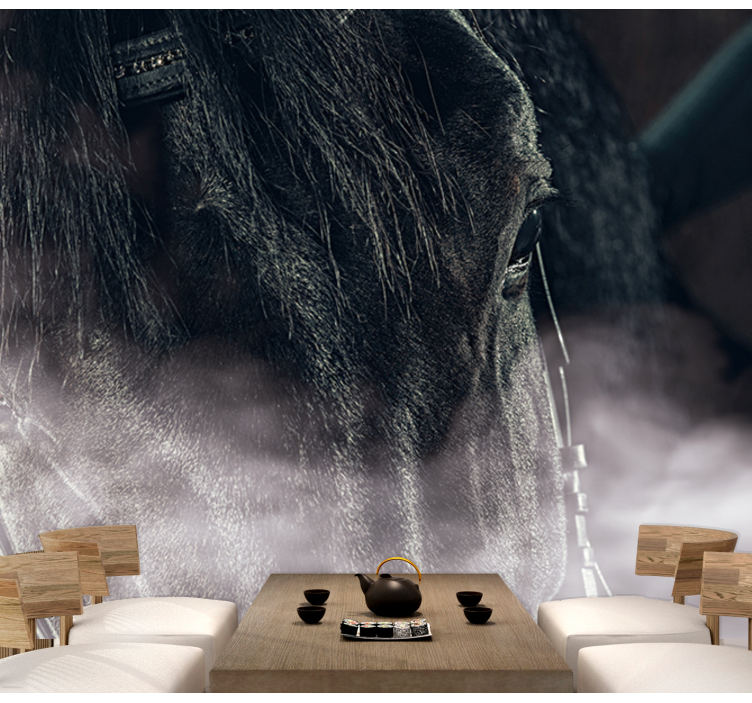 Majestetisk hest på nært hold fototapet dyr - Tenstickers