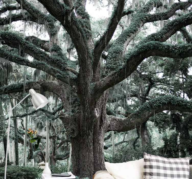 Majestetiske eikegrener fototapet trær - Tenstickers