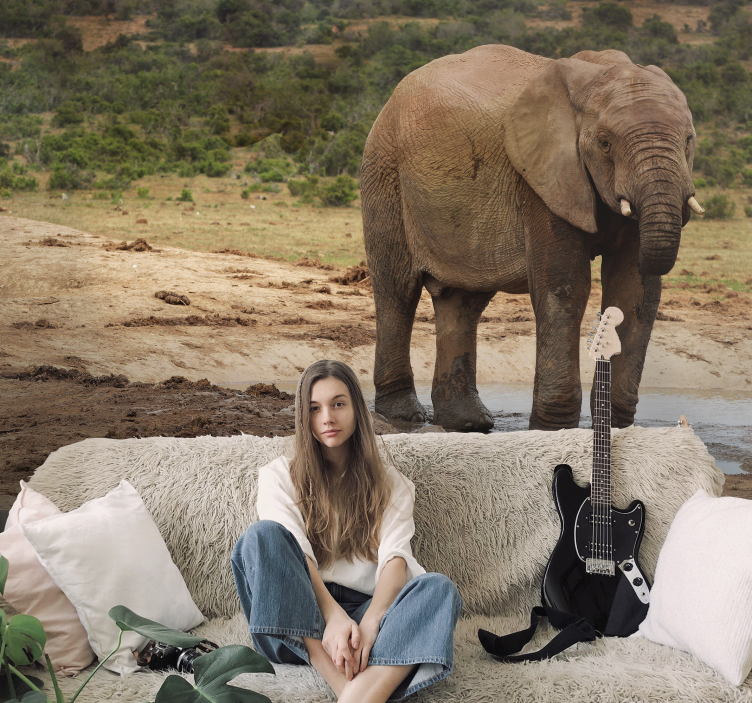 Møte med elefanter fototapet dyr - Tenstickers