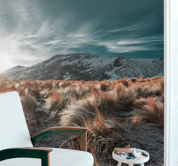 Nevado de toluca med felt fototapet natur - Tenstickers