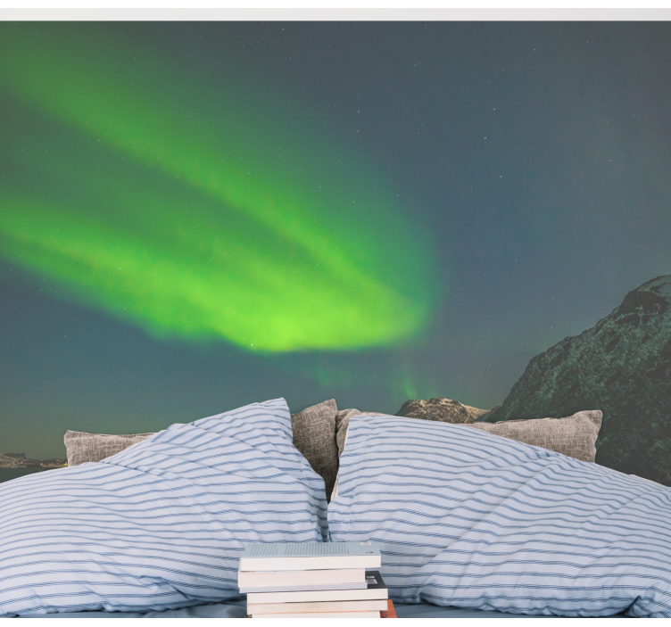 Norsk nordlys fototapet natur - Tenstickers
