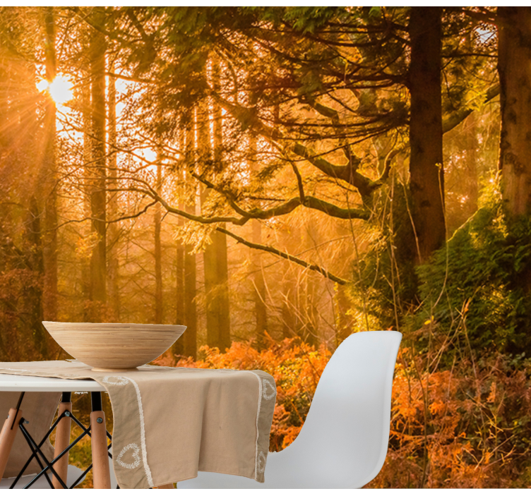 Opplyst skoglandskap fototapet natur - Tenstickers