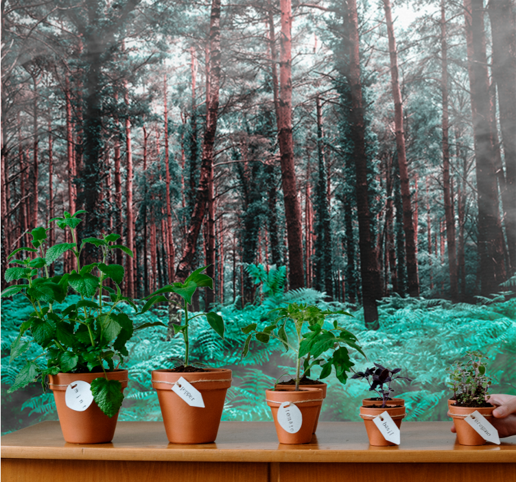 Pulserende tåkeskog fototapet trær - Tenstickers